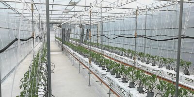 a greenhouse with connected cameras and sensors
