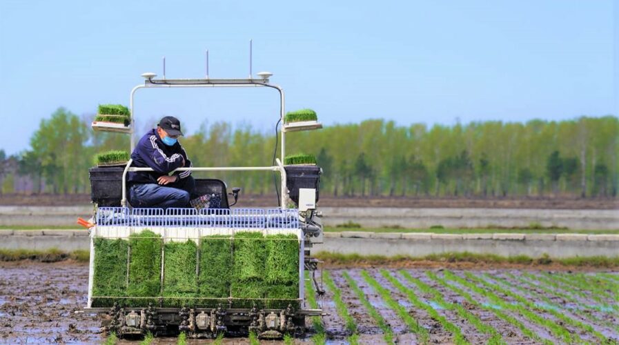 Agritech driven by data is modernizing farming in Asia