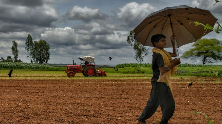 Agriculture feeds the world, but can agritech keep the industry alive and help agriculture-first nations? (Photo by Manjunath Kiran / AFP)