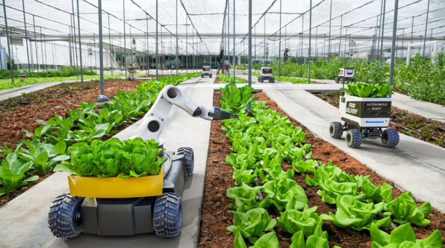 Embracing photovoltaics as the modern agriculture technology that will revolutionize farming.