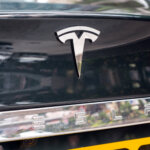 Tesla will likely begin operations in India with either the Model 3 or Model Y.  Source: Shutterstock